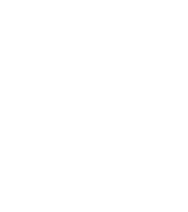 Icon Hat