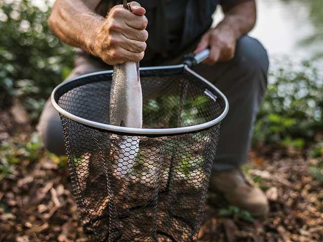 Forfait pêche “no kill” en journée, week-end, hebdomadaire et annuel, proposé au camping les Ballastières en Bourgogne-Franche-Comté