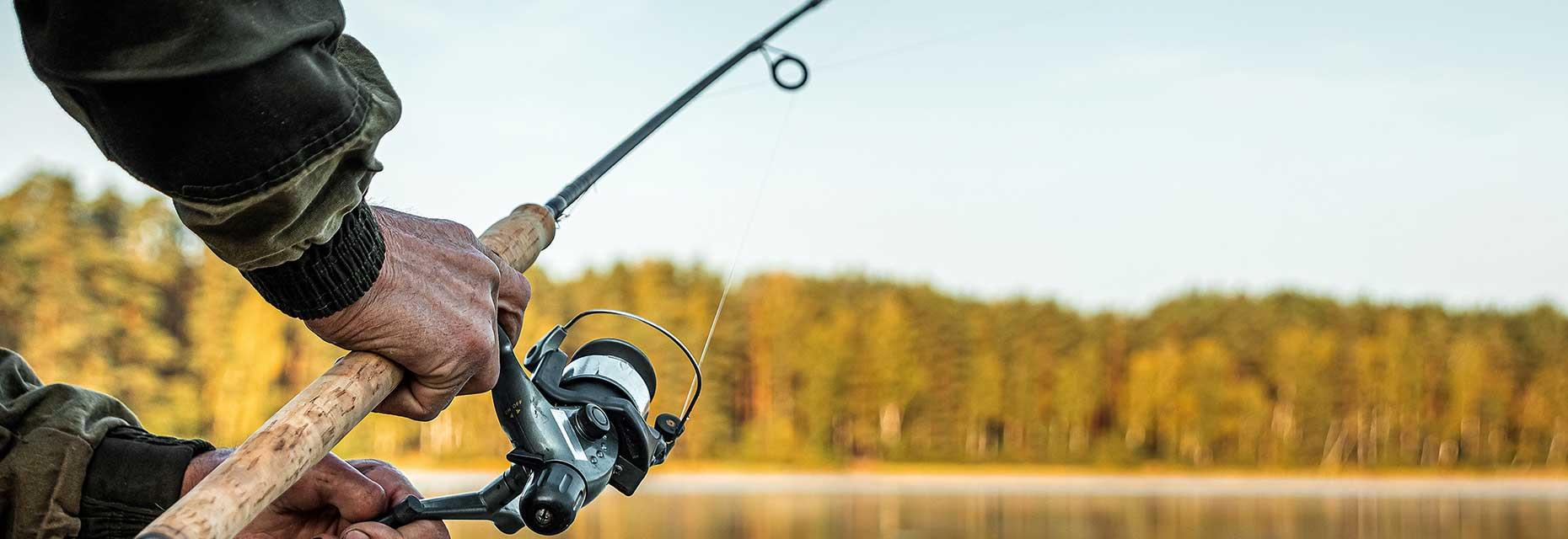 Fishing at the Chevanel and Breuil ponds, near the Campsite Les Ballastières in the Southern Vosges