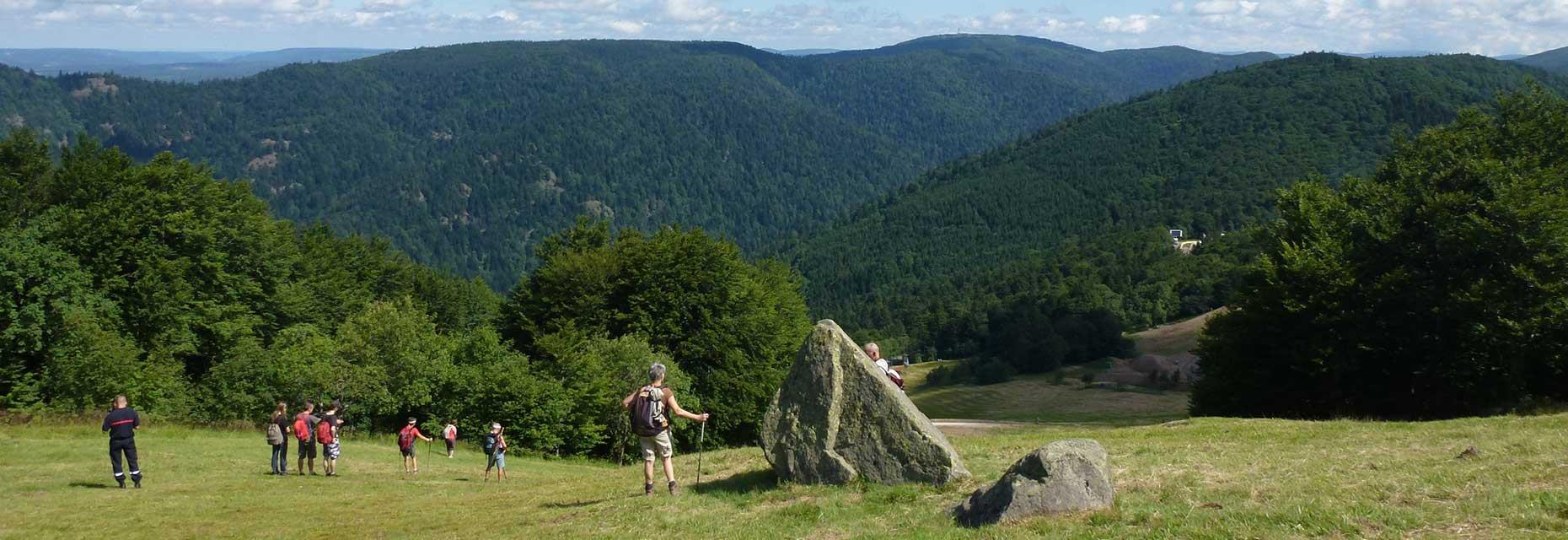 Hiking in the Southern Vosges, near the Campsite Les Ballastières