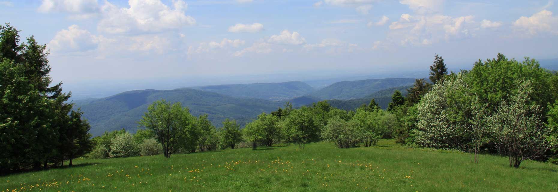 Uitzicht op het Regionaal Natuurpark Ballons des Vosges