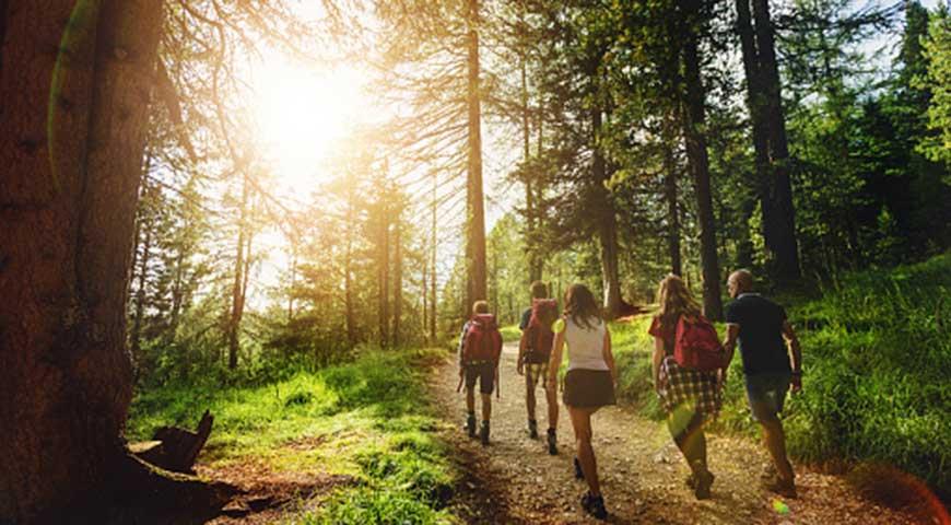 Wandern im Ballons d'Alsace, 28 km vom Campingplatz Les Ballastières in der Haute-Saône entfernt