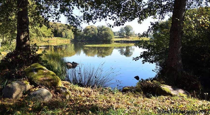 Wandelen in het Plateau des Milles Etangs, gelegen op 20 km van de camping les Ballastières in Bourgondië-Franche-Comté