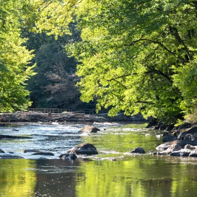 Rivière entourée d'arbres verdoyants et rochers