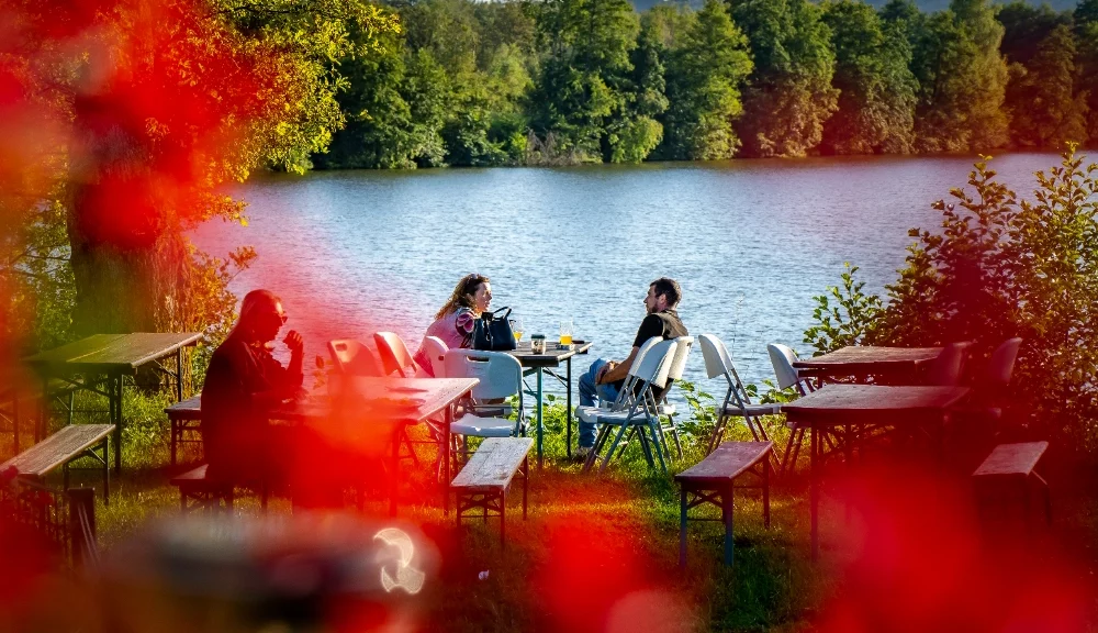 Déjeuner près du lac entouré de nature verdoyante.