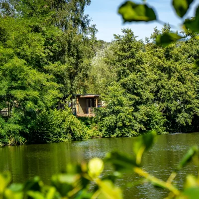 Cabane en bois au bord d'un lac verdoyant.