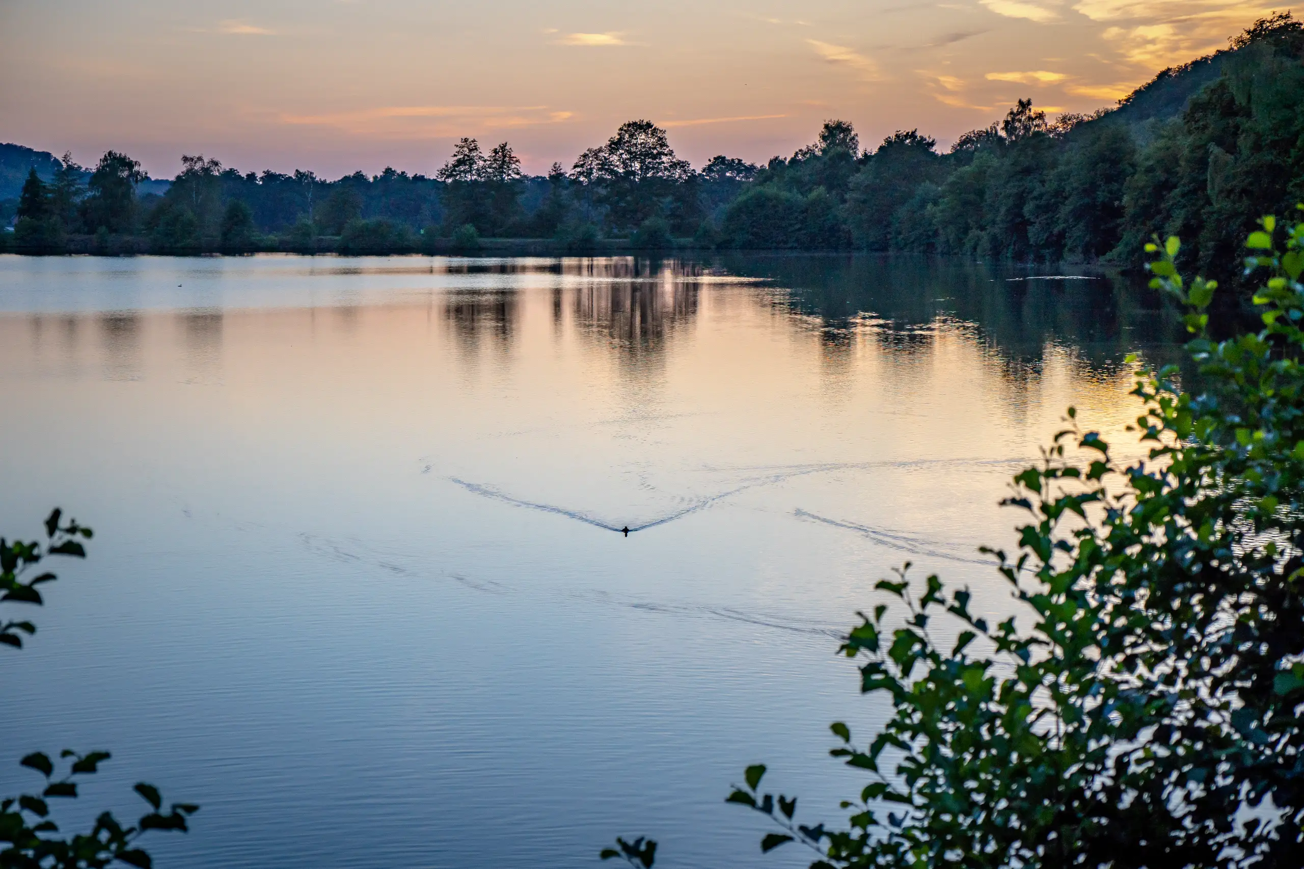 Coucher de soleil sur lac serein avec arbre