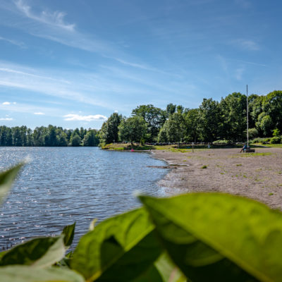 Paysage lac avec plage et arbres, ciel bleu.