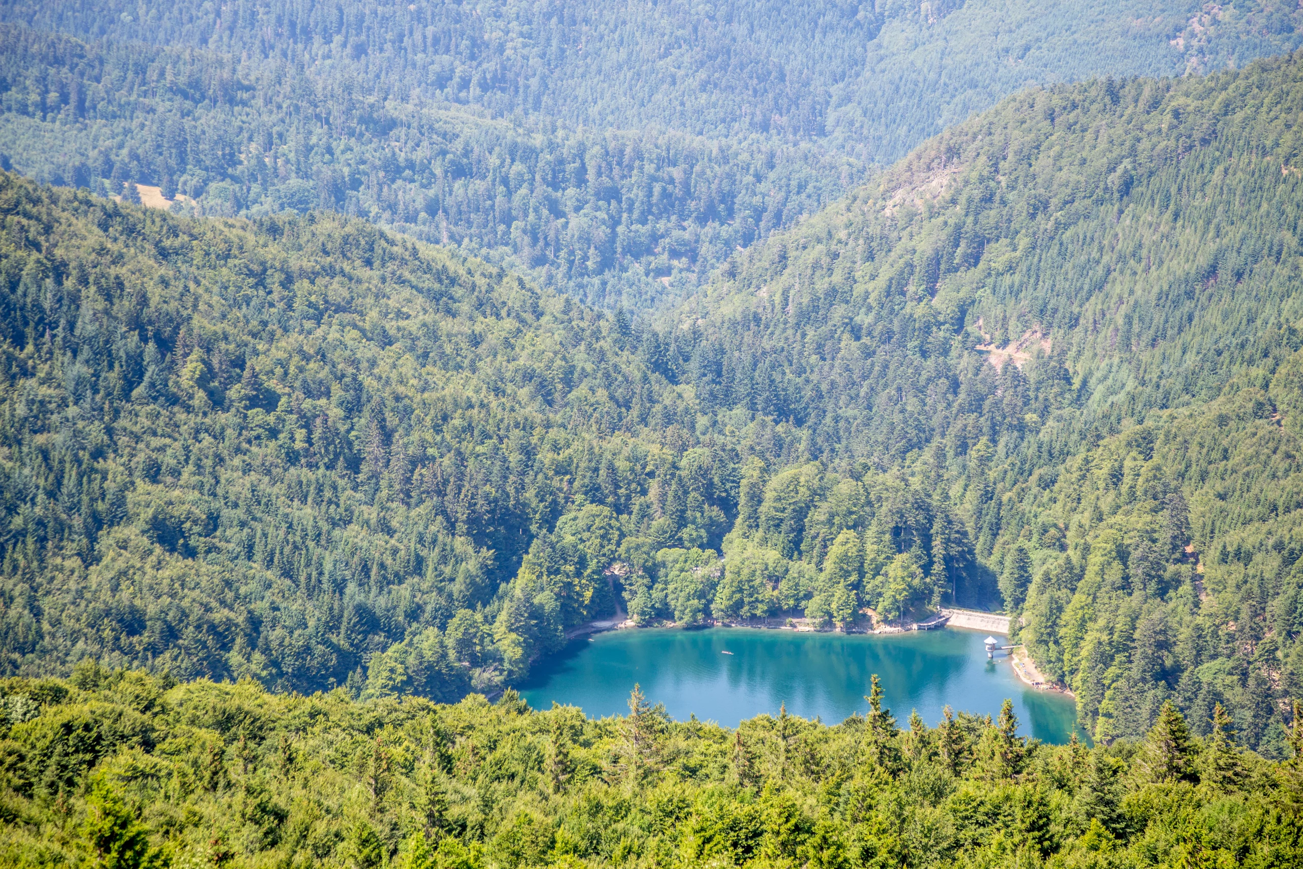 Scenic mountain view with forest and lake.