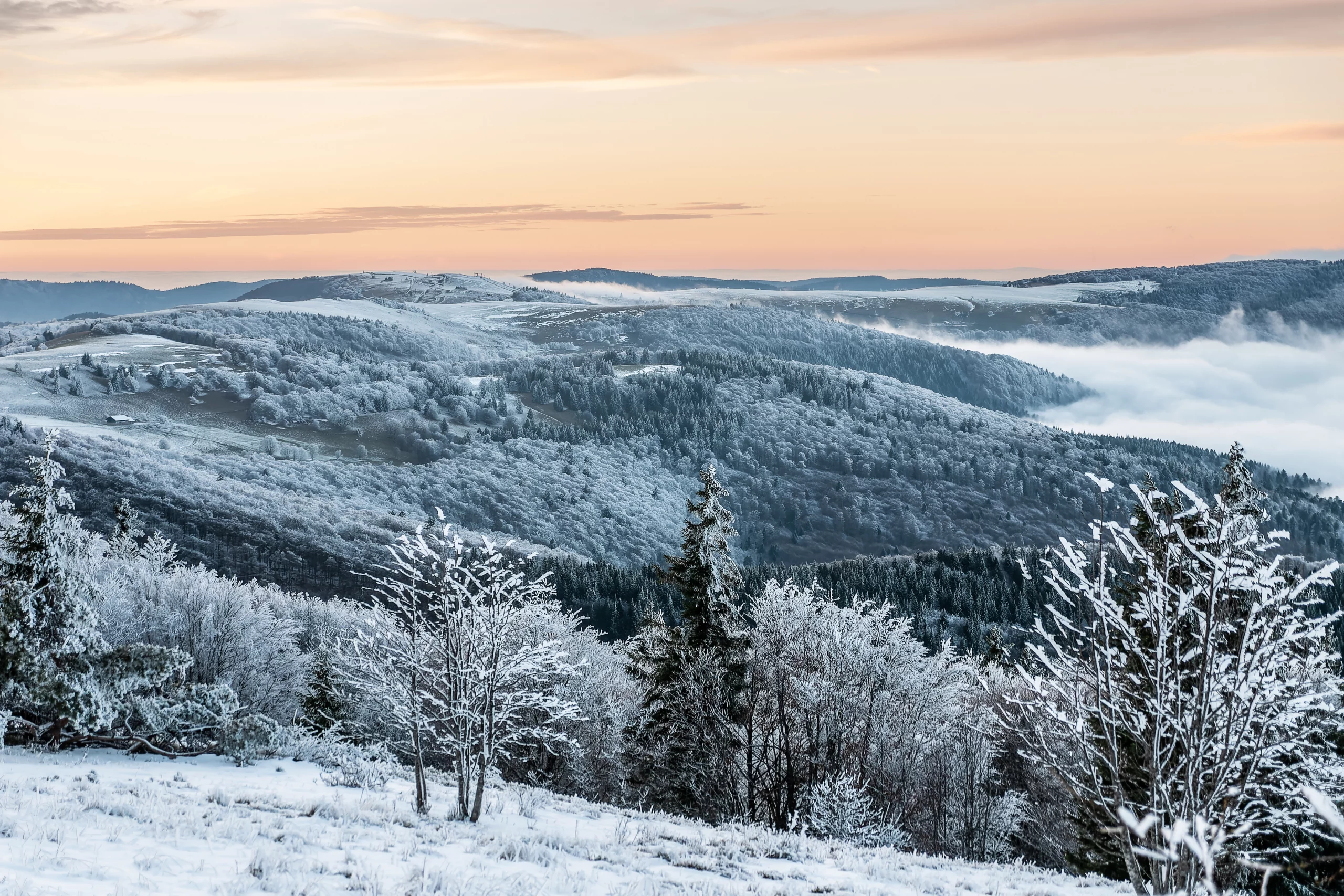 Paysage hivernal avec collines enneigées
