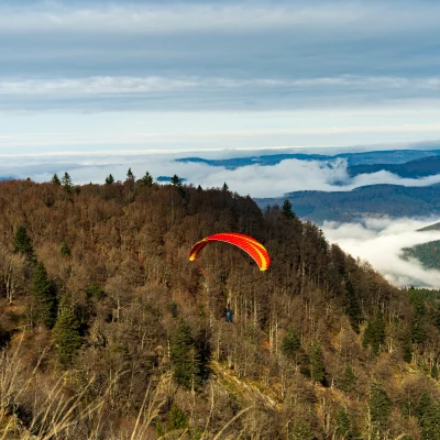 Parapente coloré survolant forêt et montagnes nuageuses.