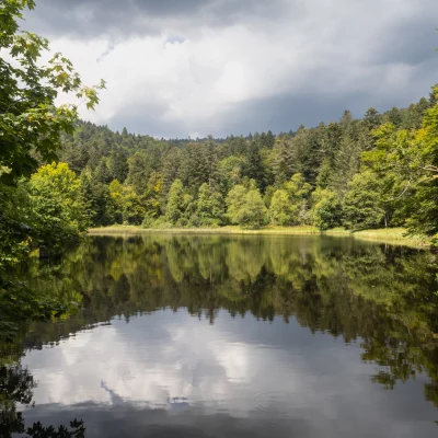 Étang entouré de forêt avec ciel nuageux