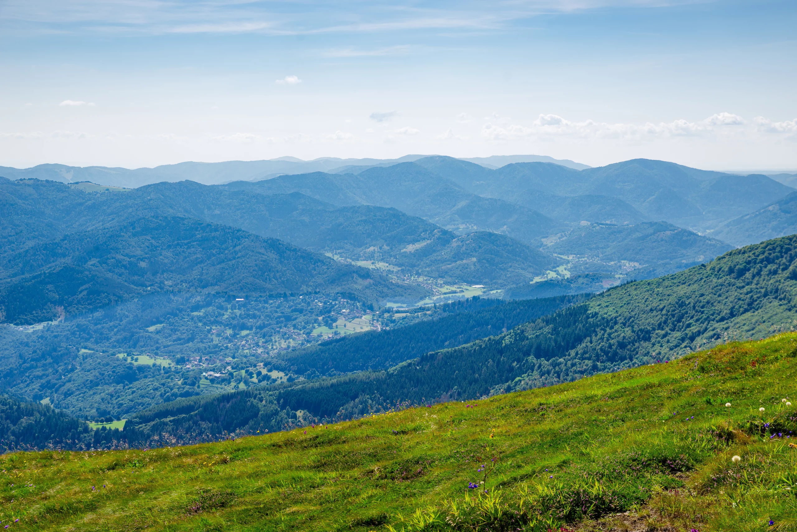 Paysage montagneux des Vosges en été