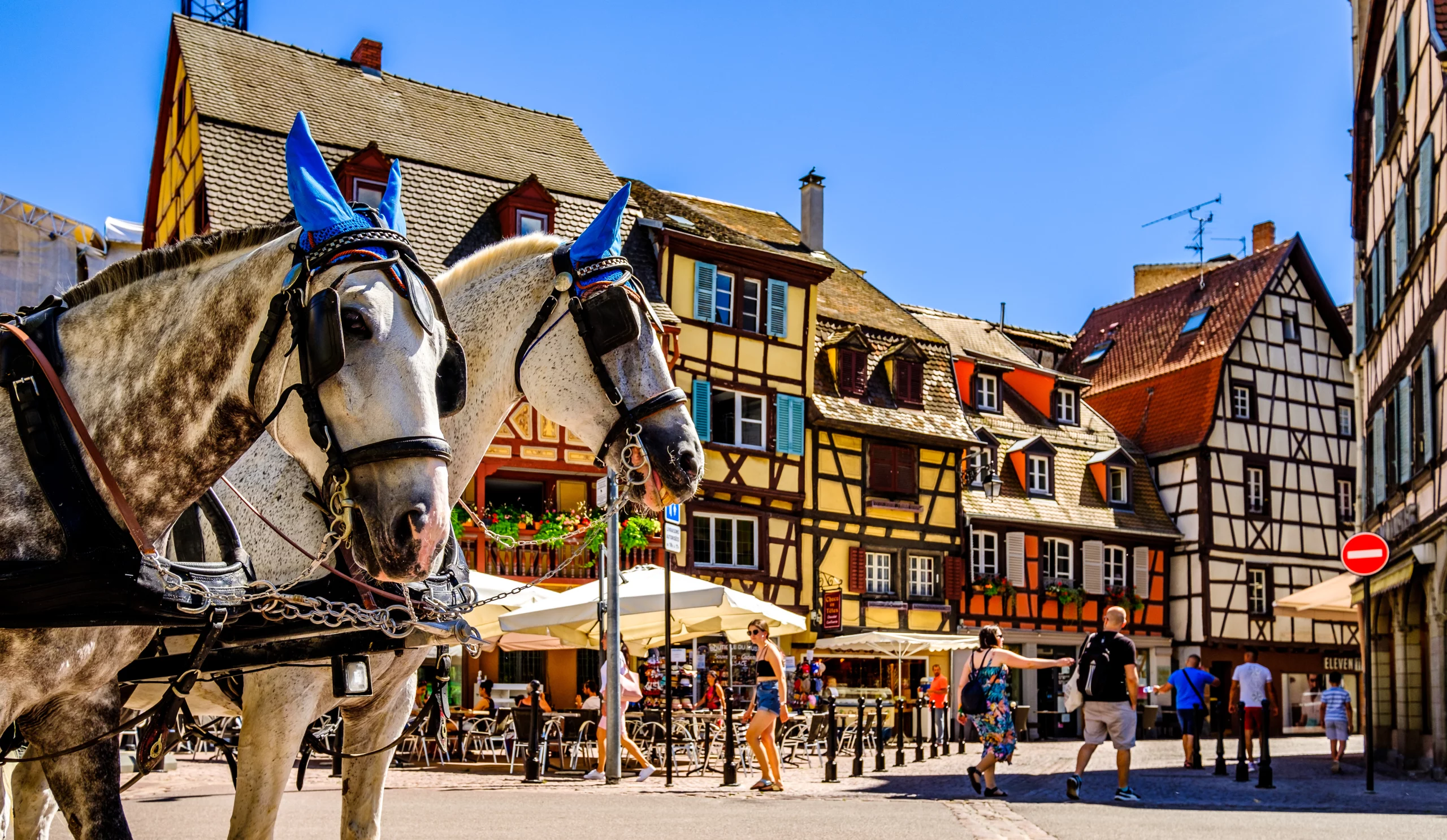 Chevaux à Strasbourg devant maisons à colombages