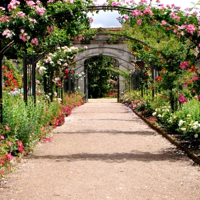 Allée fleurie avec roses et pergola