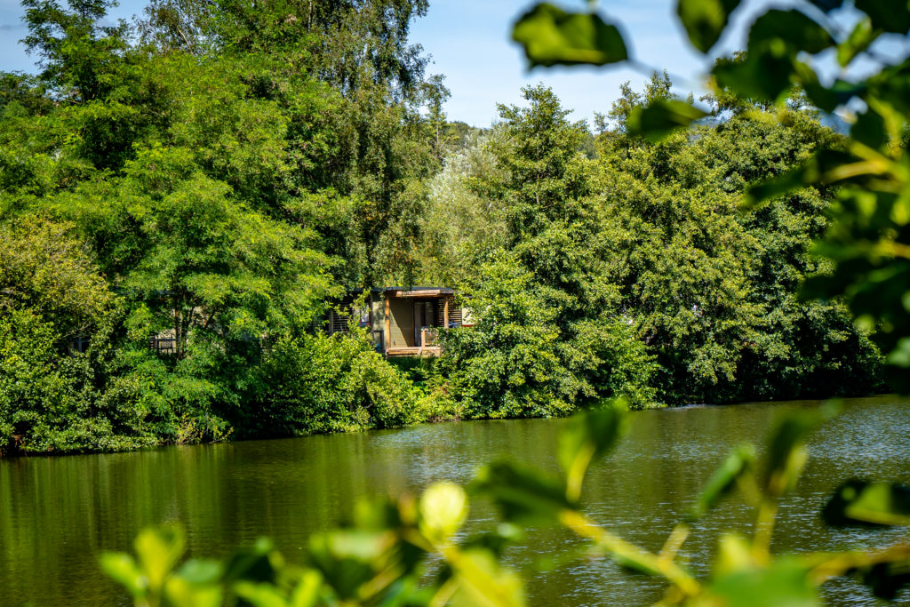 Cabane au bord du lac entourée d'arbres