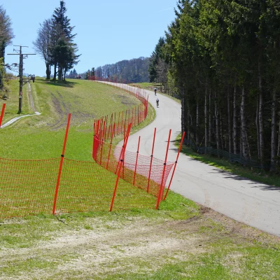 Route de montagne bordée d'arbres et clôtures rouges.