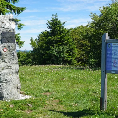 Monument commémoratif en pierre dans un champ verdoyant.