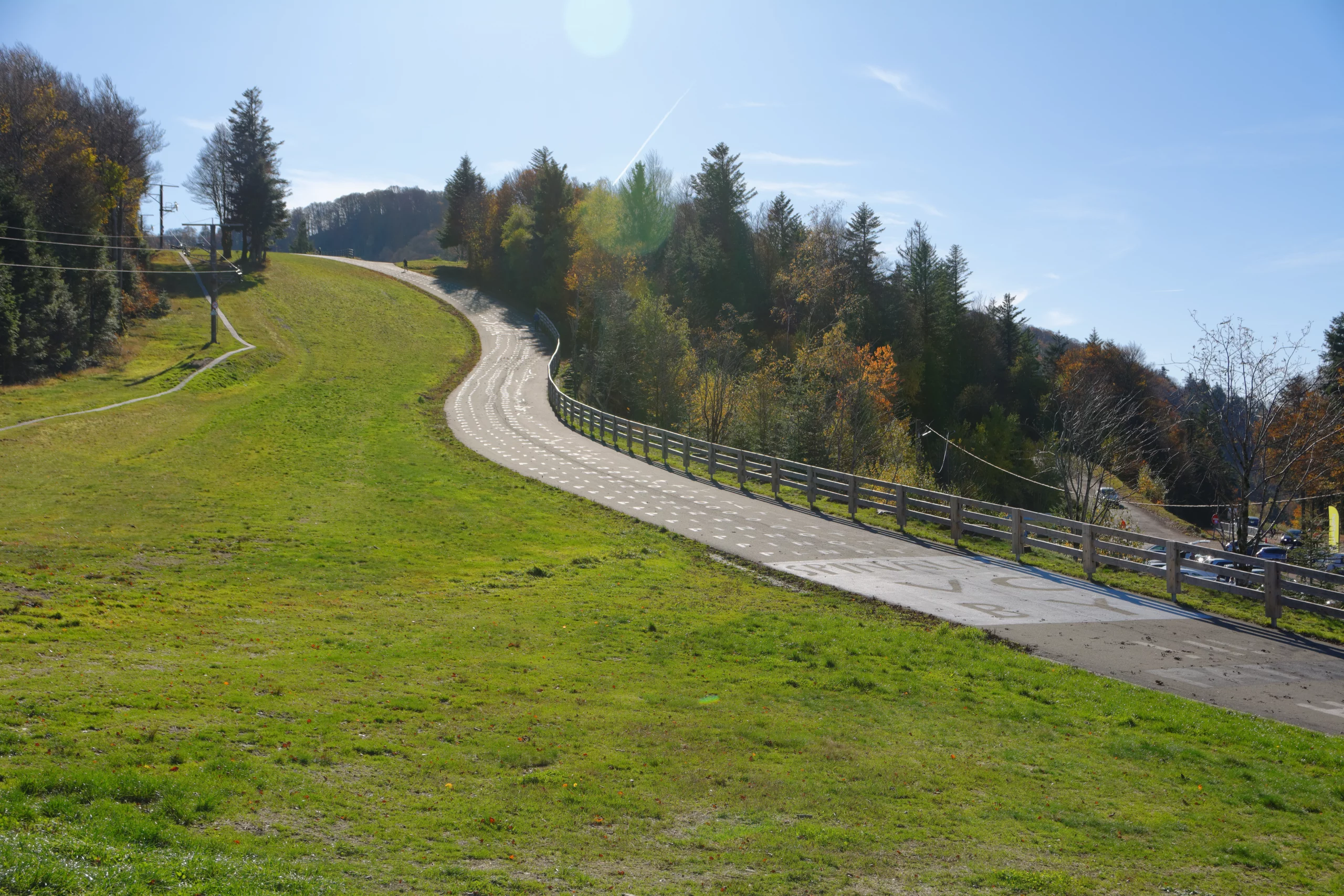 Route sinueuse bordée d'arbres en automne