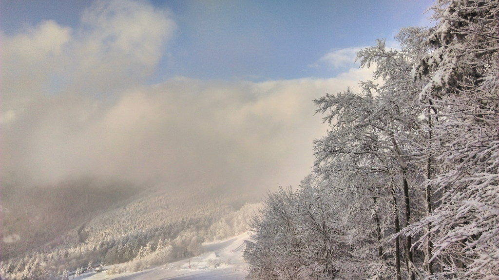 Paysage enneigé avec des arbres et nuages.
