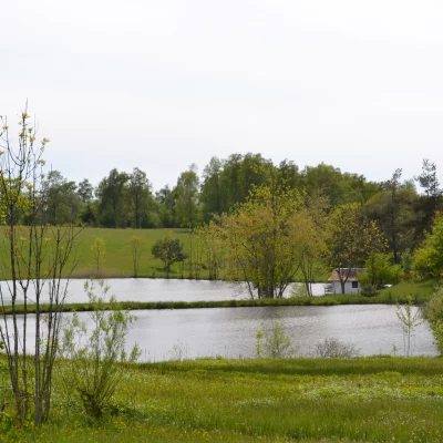 Lac paisible entouré de verdure et arbres.
