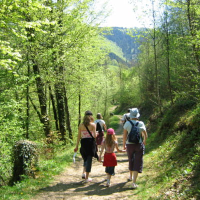 Famille marchant dans une forêt ensoleillée