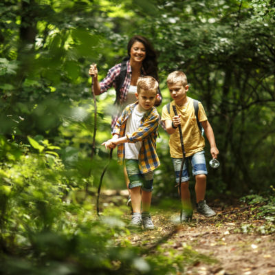 Marche en famille dans une forêt verdoyante