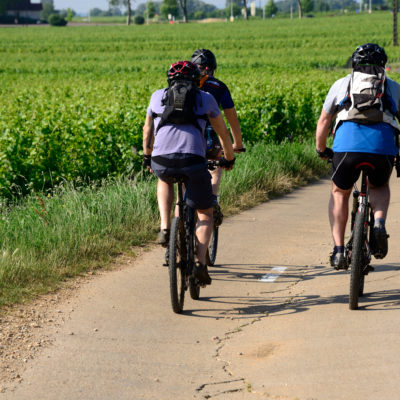 Cyclistes sur un chemin bordé de champs verts.