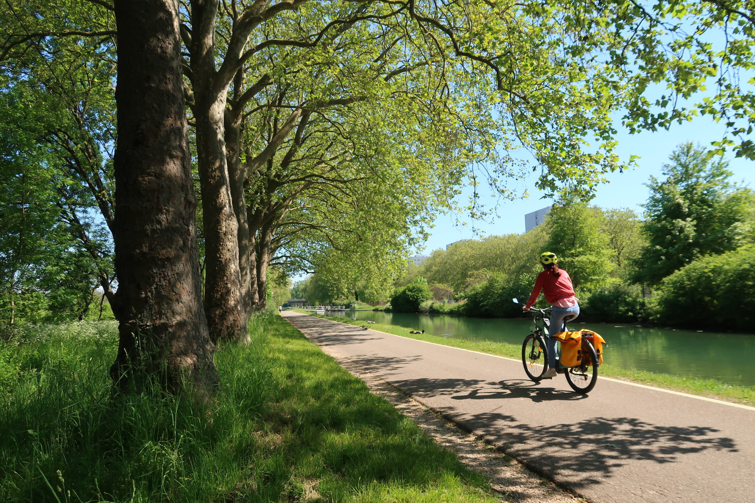 Cycliste sur piste ombragée au bord de l'eau.