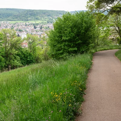 Chemin bordé d'arbres menant à une ville pittoresque.