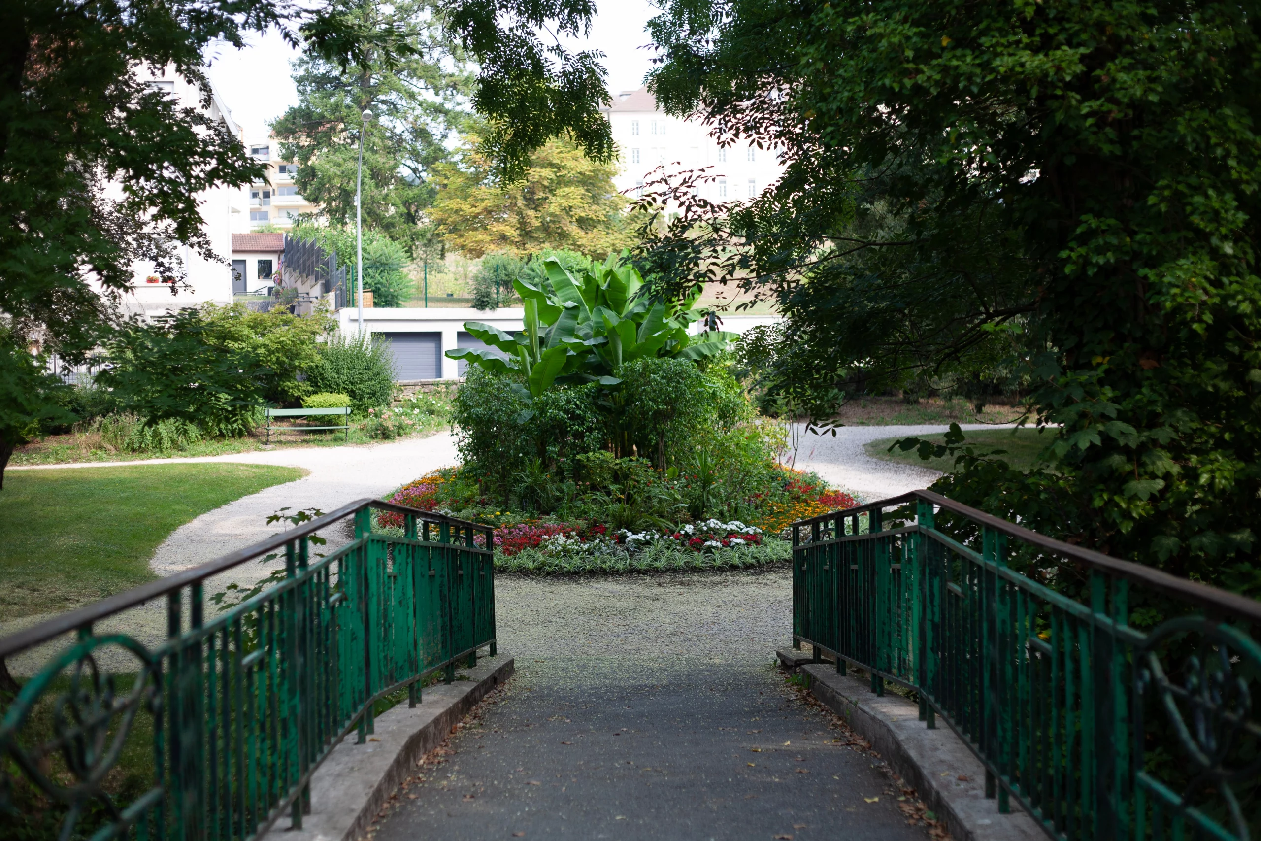 Pathway through scenic green garden with flowers